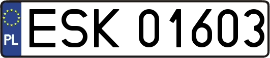 ESK01603