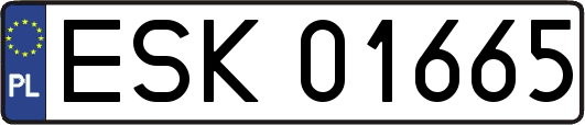 ESK01665