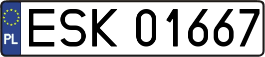 ESK01667