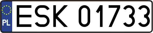 ESK01733