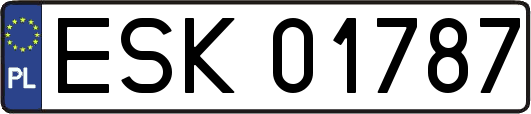 ESK01787