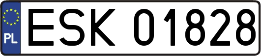 ESK01828