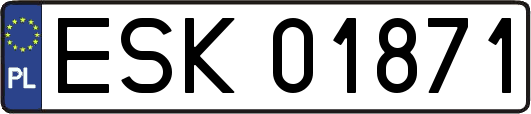 ESK01871