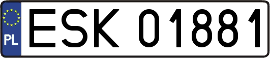 ESK01881