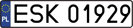 ESK01929
