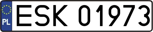ESK01973