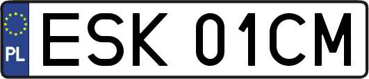 ESK01CM