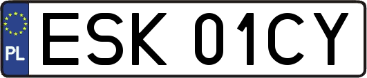ESK01CY