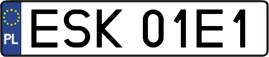 ESK01E1