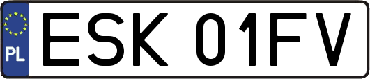 ESK01FV