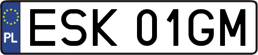 ESK01GM