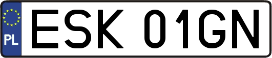 ESK01GN