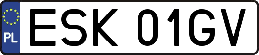 ESK01GV