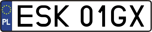 ESK01GX