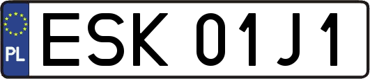 ESK01J1