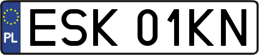 ESK01KN