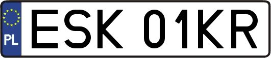 ESK01KR