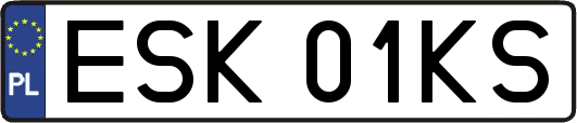 ESK01KS