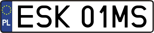 ESK01MS