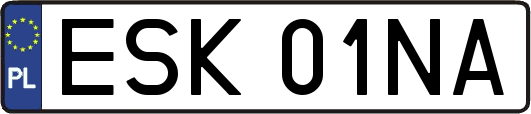 ESK01NA
