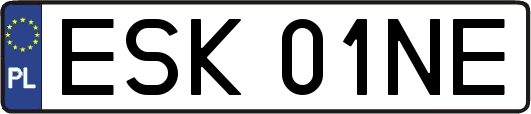 ESK01NE