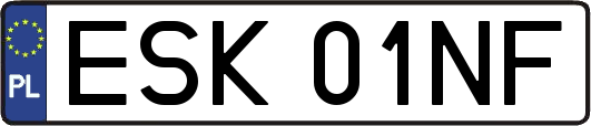 ESK01NF