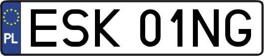 ESK01NG