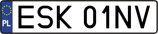ESK01NV