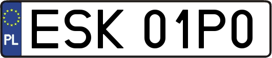 ESK01P0