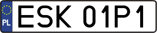 ESK01P1
