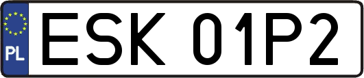 ESK01P2