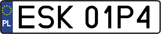 ESK01P4