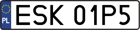 ESK01P5