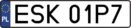 ESK01P7