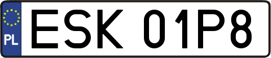 ESK01P8