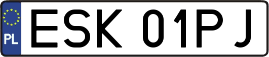 ESK01PJ