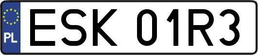 ESK01R3