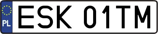 ESK01TM