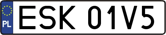 ESK01V5