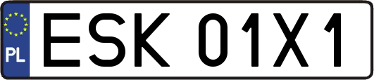 ESK01X1