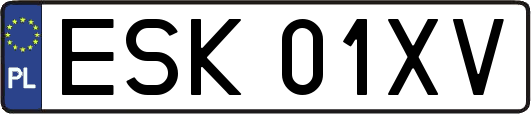 ESK01XV