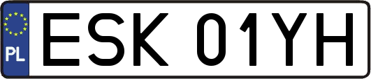ESK01YH