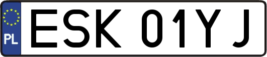 ESK01YJ