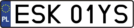 ESK01YS
