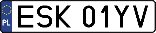 ESK01YV