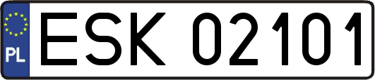 ESK02101
