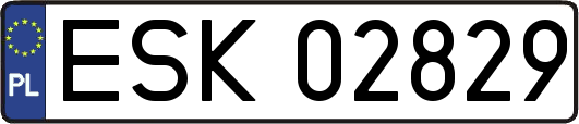 ESK02829
