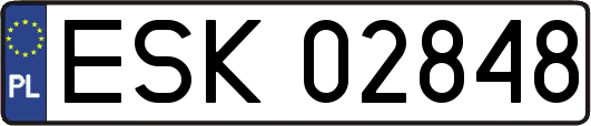 ESK02848