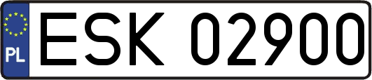 ESK02900