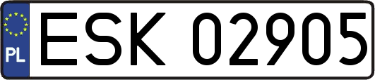 ESK02905